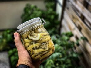 Eingelegte Gin Zitronen