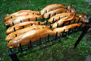 Forellen im Liegen räuchern