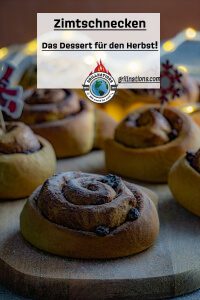 vegane Zimtschnecken grillnations