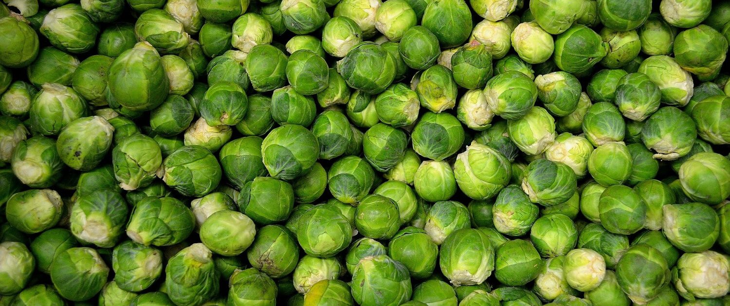 Rosenkohl richtig putzen grillnations