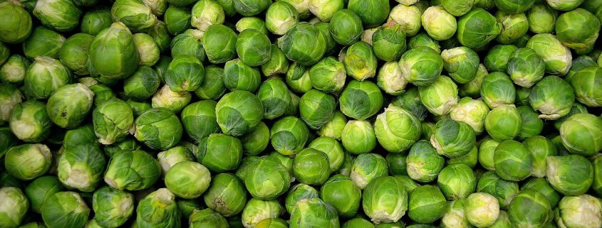 Rosenkohl richtig putzen grillnations